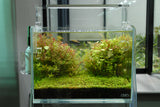 ADA Cube Garden Mini M Rimless Aquarium (Ultra High Clarity Glass)