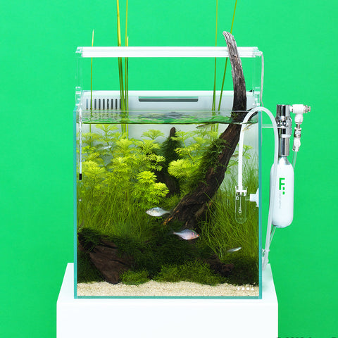 DOOA SYSTEM AQUA 30 – Aqua Forest Aquarium