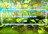 ADA Nature Aquarium Calendar 2023