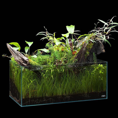 Ada Cube Garden W60xd30xh25cm Aquarium Ultra High Clarity Glass New
